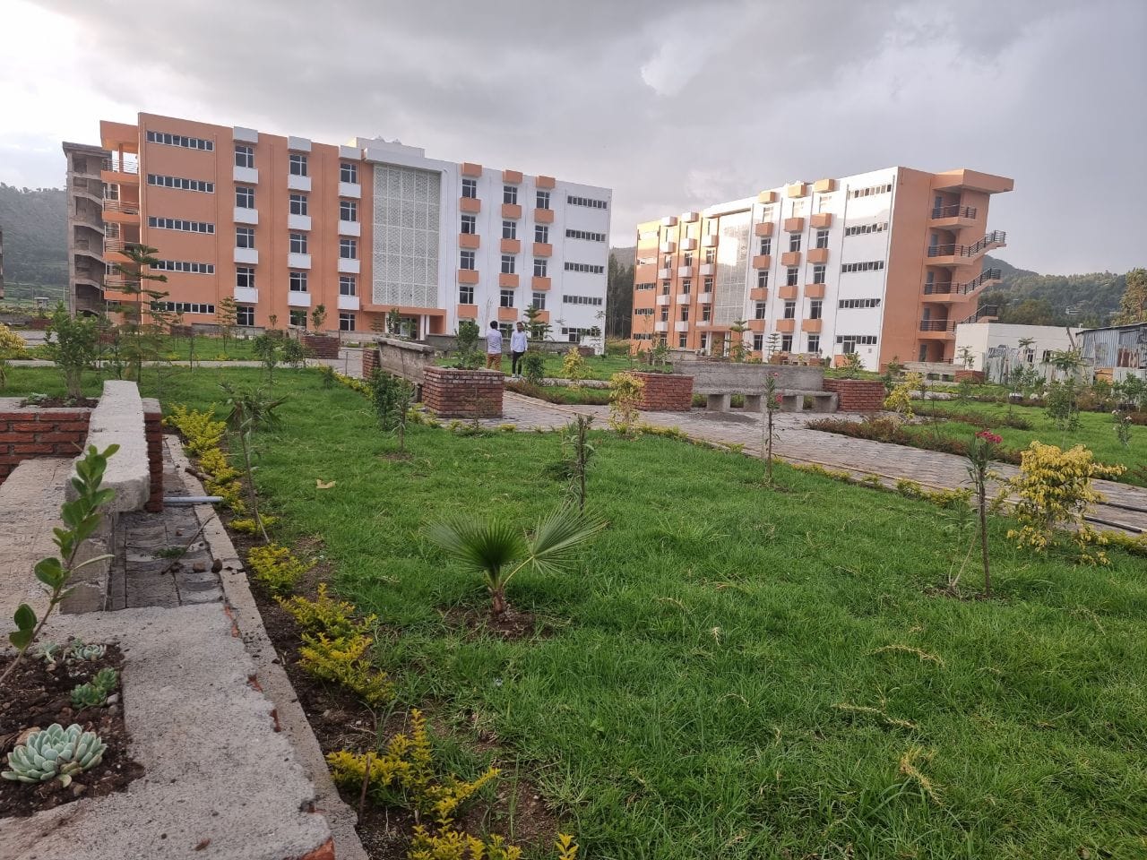 Wollo University Campus